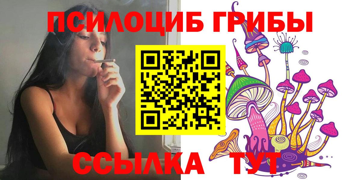 Галлюциногенные грибы прущие грибы  где найти наркотики  Новокузнецк  Вход с VPN 